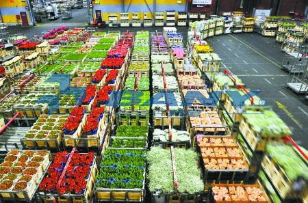 蔬菜保鮮冷庫(kù) 蔬菜保鮮冷庫(kù)